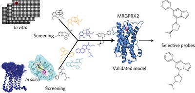 <i>In silico</i> design of novel probes for the atypical opioid receptor MRGPRX2