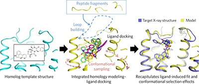 Computational design of ligand-binding membrane receptors with high selectivity