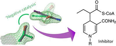 A conserved threonine prevents self-intoxication of enoyl-thioester reductases