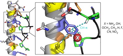 Engineering protein stability with atomic precision in a monomeric miniprotein