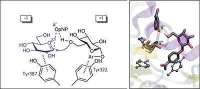 A front-face 'S<sub>N</sub>i synthase' engineered from a retaining 'double-S<sub>N</sub>2' hydrolase