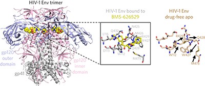 Crystal structures of trimeric HIV envelope with entry inhibitors BMS-378806 and BMS-626529