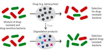 Chemical decay of an antibiotic inverts selection for resistance