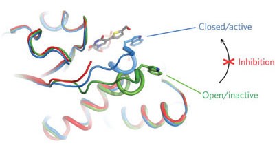 Structural and mechanistic basis for a new mode of glycosyltransferase inhibition