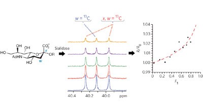 A direct NMR method for the measurement of competitive kinetic isotope effects