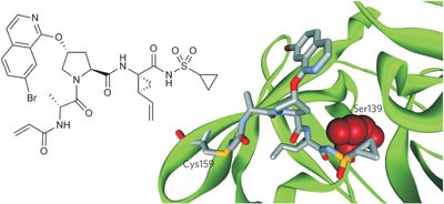 Selective irreversible inhibition of a protease by targeting a noncatalytic cysteine