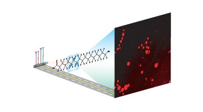 Chemical contrast for imaging living systems: molecular vibrations drive CARS microscopy