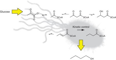 Enzyme mechanism as a kinetic control element for designing synthetic biofuel pathways
