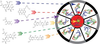 Discovery of selective bioactive small molecules by targeting an RNA dynamic ensemble