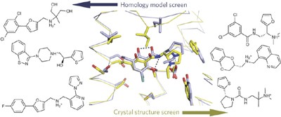 Ligand discovery from a dopamine D<sub>3</sub> receptor homology model and crystal structure