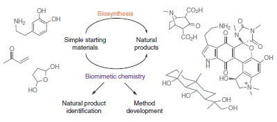 Lessons and revelations from biomimetic syntheses