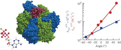 Mechanical modulation of catalytic power on F<sub>1</sub>-ATPase