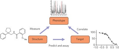 Chemical informatics and target identification in a zebrafish phenotypic screen