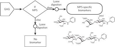 Disease-specific non–reducing end carbohydrate biomarkers for mucopolysaccharidoses