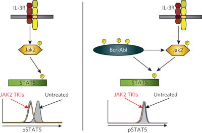 BCR-ABL uncouples canonical JAK2-STAT5 signaling in chronic myeloid leukemia