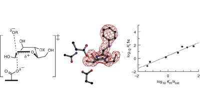 Structural and biochemical evidence for a boat-like transition state in β-mannosidases