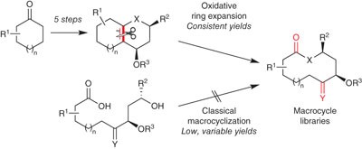 A diversity-oriented synthesis approach to macrocycles via oxidative ring expansion