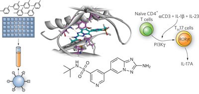 A selective inhibitor reveals PI3Kγ dependence of T<sub>H</sub>17 cell differentiation