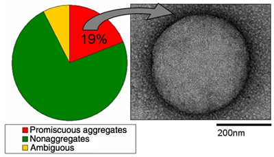 High-throughput assays for promiscuous inhibitors