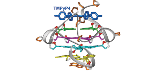 Small-molecule interaction with a five-guanine-tract G-quadruplex structure from the human <i>MYC</i> promoter