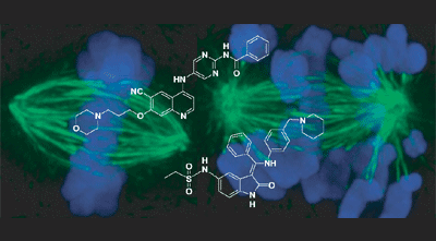 Unraveling cell division mechanisms with small-molecule inhibitors