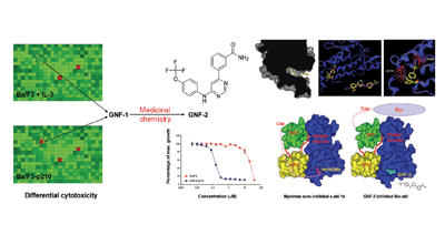 Allosteric inhibitors of Bcr-abl–dependent cell proliferation