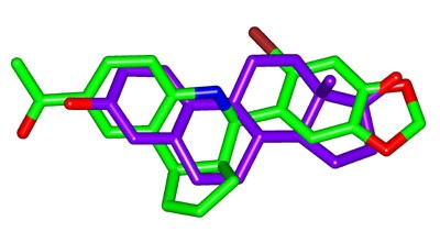 Virtual and biomolecular screening converge on a selective agonist for GPR30