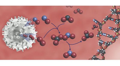 Paradoxical hotspots for guanine oxidation by a chemical mediator of inflammation