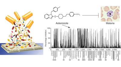 A clinical drug library screen identifies astemizole as an antimalarial agent