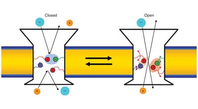 Electrostatic couplings in OmpA ion-channel gating suggest a mechanism for pore opening