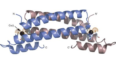 CsoR is a novel <i>Mycobacterium tuberculosis</i> copper-sensing transcriptional regulator