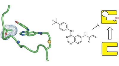 Structure-guided development of affinity probes for tyrosine kinases using chemical genetics
