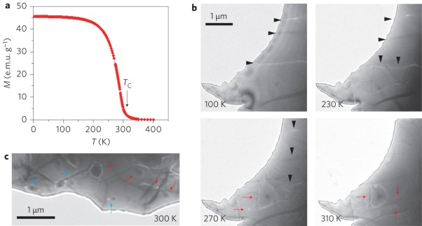 Direct observation and dynamics of spontaneous skyrmion-like magnetic domains in a ferromagnet