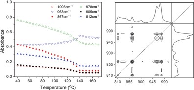 A two-dimensional IR correlation spectroscopic study of the conformational changes in syndiotactic polypropylene during crystallization