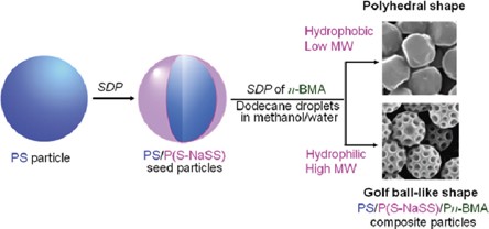 Effects of properties of the surface layer of seed particles on the formation of golf ball-like polymer particles by seeded dispersion polymerization