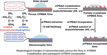 Morphological changes of isotactic poly(methyl methacrylate) thin films via self-organization and stereocomplex formation