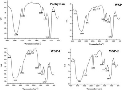 Preparation of bioactive water-soluble pachyman hydrolyzed from sclerotial polysaccharides of <i>Poria cocos</i> by hydrolase