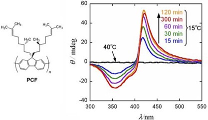 Induced circular dichroism of an optically active polyfluorene derivative in phase-separating solutions