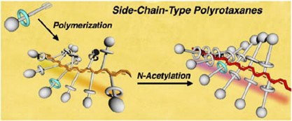 Synthesis of acetylene-functionalized [2]rotaxane monomers directed toward side chain-type polyrotaxanes