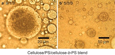 Synthesis and characterization of cellulose-<i>b</i>-polystyrene