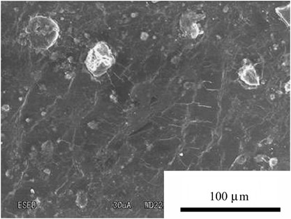 Whitening of polyvinyl alcohol used as restoration material for <i>Shohekiga</i>