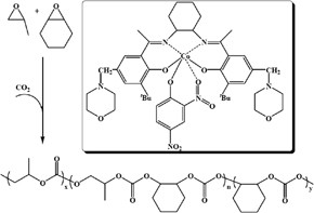 Alternating copolymerization of CO<sub>2</sub> with propylene oxide and terpolymerization with aliphatic epoxides by bifunctional cobalt Salen complex