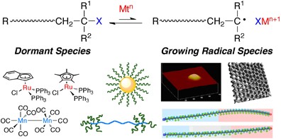 Recent developments in metal-catalyzed living radical polymerization