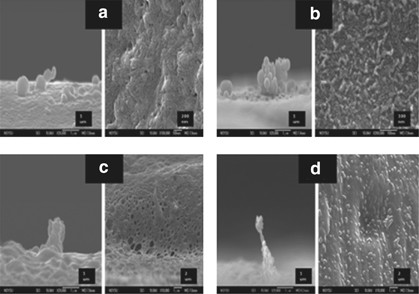 The influence of arylene ether positions and phenyl substituents on the physical properties of functional fluorinated polymers