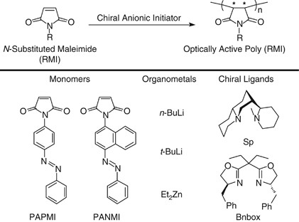 Asymmetric anionic polymerization of <i>N</i>-substituted maleimides bearing an azo group with chiral anionic initiators