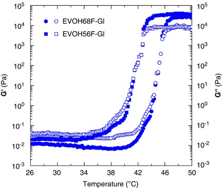 Rheological behavior of aminosaccharide-based glycopolymers obtained from ethylene-vinyl alcohol copolymers