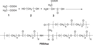 Preparation of poly(butylene succinate) copolymers including <span class="small-caps u-small-caps">L</span>-aspartic acid