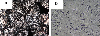 Amorphous phase behavior and crystalline morphology in blends of poly(vinyl methyl ether) with isomeric polyesters: poly(hexamethylene adipate) and poly(ɛ-caprolactone)