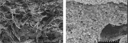 Fabrication of a porous structure of poly(tetrafluoroethylene) from a mixture with fumaric acid