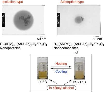 Selective preparation of novel fluoroalkyl end-capped co-oligomeric nanocomposite-encapsulated magnetites and magnetite-adsorbing co-oligomeric nanoparticles